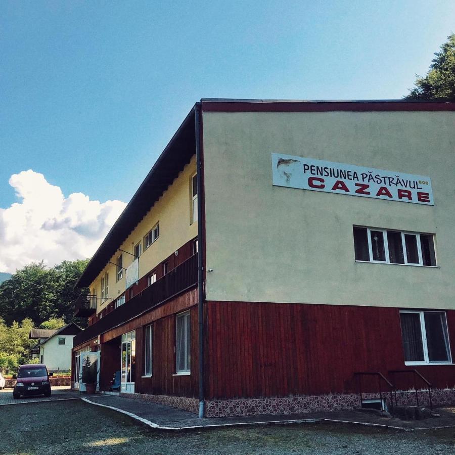 Pensiunea Pastravul Hotel Cârțișoara Exterior photo