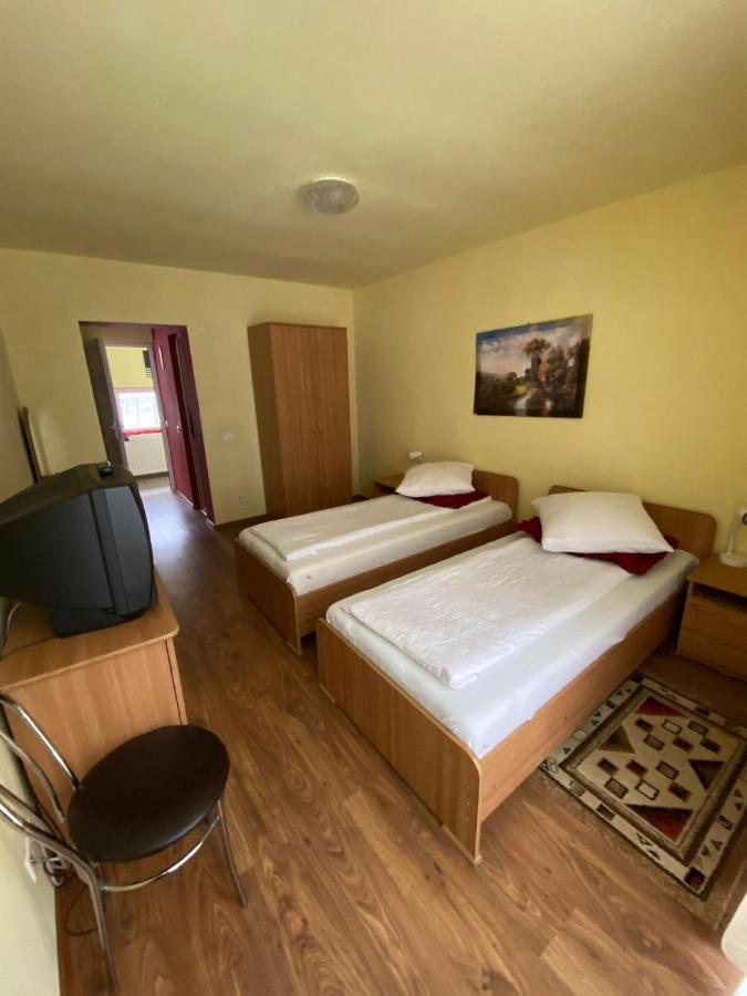 Pensiunea Pastravul Hotel Cârțișoara Exterior photo